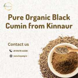 Pure Organic Black Cumin from Kinnaur, Shimla