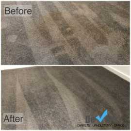 Professional Carpet Stain Removal sunshine Coast, Brisbane
