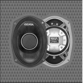 Amplified Motorcycle Speakers, ps 800