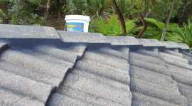 Roof Sealing Sydney, Ermington
