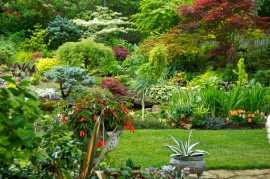 Landscape Gardner Sydney, Eastwood