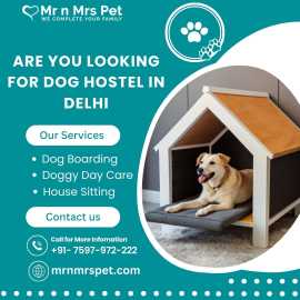 Dog Hostel in Delhi at Affordable Price, New Delhi