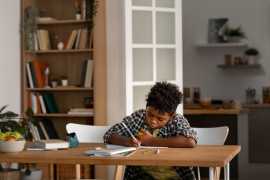Best Online Law Assignment Help in Australia Up To, Sydney