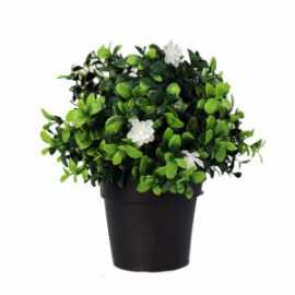 Install Fake Tulips in Vase to Brighten Your Space, Melbourne
