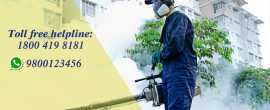 Professional Termite Pest Control Services, Kolkata