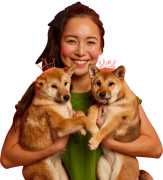 Convenient Dog Daycare With Transportation Chicago, Chicago
