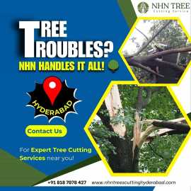 Tree Cutting Services in Hyderabad – NHN Trees Cut, Hyderabad
