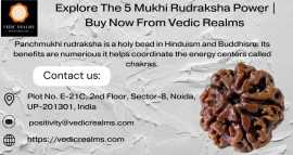 Explore The 5 Mukhi Rudraksha Power | Buy Now From, $ 4,000