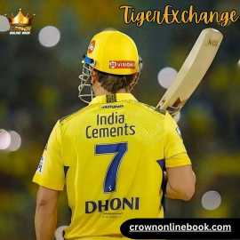 Tigerexchange Login: Where Fantasy Becomes Reality, Delhi