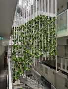 Sanctuary with Artificial Hanging Plants, Melbourne