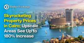 Prices in Cairo Surge Amid Currency Devaluation, Taby