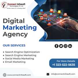 SEO and Digital Marketing Service , Faridabad
