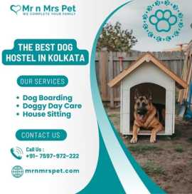 Best Dog Hostel in Kolkata, Kolkata