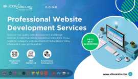Professional Web Development India, Colorado City
