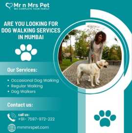 Professional Dog Walking Services in Mumbai, Mumbai