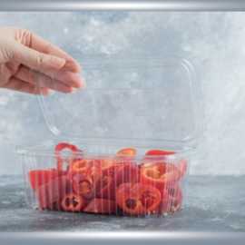 Looking Clear Hinged Lid for Sandwich containers, Brooklyn
