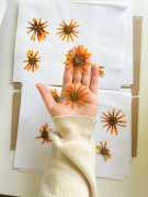 Want to Preserve Your Wedding Flowers? Contact now, Fort Myers