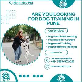 Best Dog Training in Pune, Pune