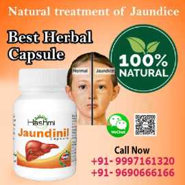Useful Jaundinil Supplement in Jaundice Treatment , Amroha