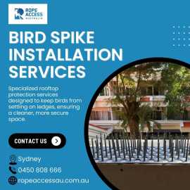 Bird Spike Installation Services In Sydney, Sydney