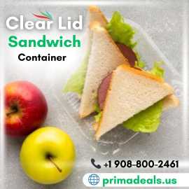 Picnic Pack Clear Lid Sandwich Container, Brooklyn