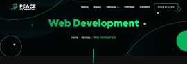 Professional Web Development Services to Grow Your, Dubai