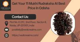 Get Your 11 Mukhi Rudraksha At Best Price In Odish, $ 0