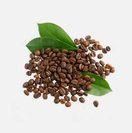 Savor Fresh Coffee Beans Sydney with Kahii, Sydney