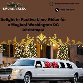 Washington DC Christmas Limo Rides, Washington