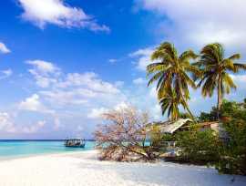 Andaman Tour Package From Coimbatore|jaisuntourism, Coimbatore