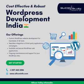 Professional WordPress Development Services, Los Angeles