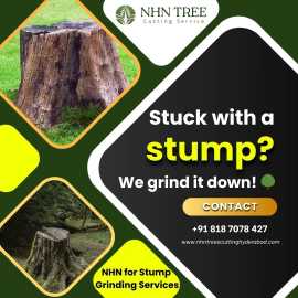 Tree Stump Grinding & Tree Care Services Hyder, Hyderabad