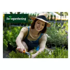 Lawn Mowing Maintenance Melbourne -Ilove gardening, Melbourne