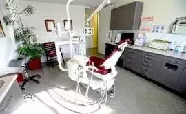 Finding the Right Albany Dentist: Tips for Selecti, Albany
