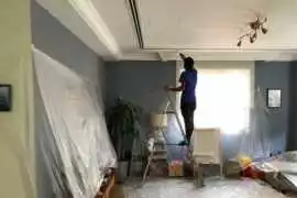 Premium Painting Services Dubai | Trusted Experts , Dubai