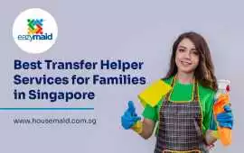 Best Transfer Helper Services for Families, Bukit Timah