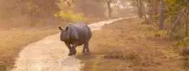 Adventure Tours India – Thrilling Experiences with, Nashik