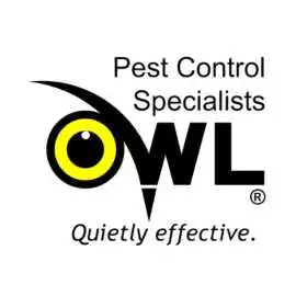 Pest Control Services Dublin Reliable Solutions, Dublin