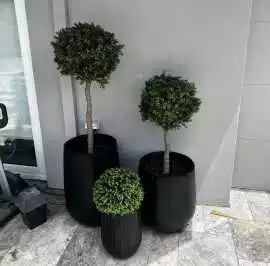 Install Artificial Plants to Elevate Your Brisbane, $ 80