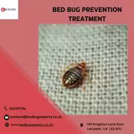 Why choose bed bug prevention treatment now? , Leicester