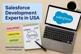 Salesforce Development Experts in USA, New Rochelle