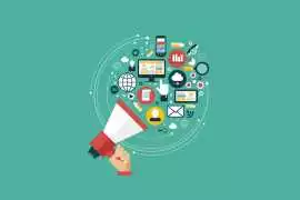 Social Media Management in Pune | Wildnettech, Noida