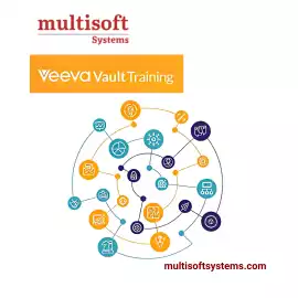 Why Professionals Choose Veeva Vault Training for, Noida