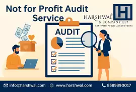Not for Profit Audit Service for Transparent, San Diego