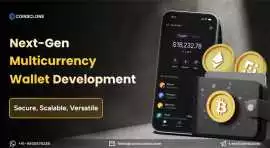 Multicurrency Wallet Development with Coinsclone, Aghadowey