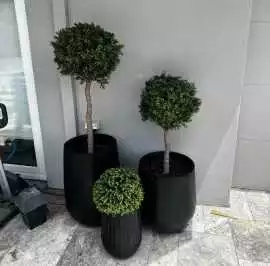 Position Artificial Topiary Trees to Experience, $ 25