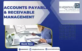Smart Accounts Payable and Receivable Management, San Diego