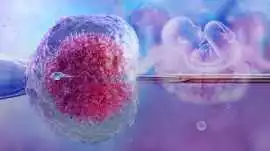 Ritu IVF, Jaipur