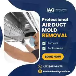 Air Duct Mold Removal, Austin
