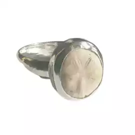    What Makes Fossil Rings a Unique Blend of Histo, $ 0